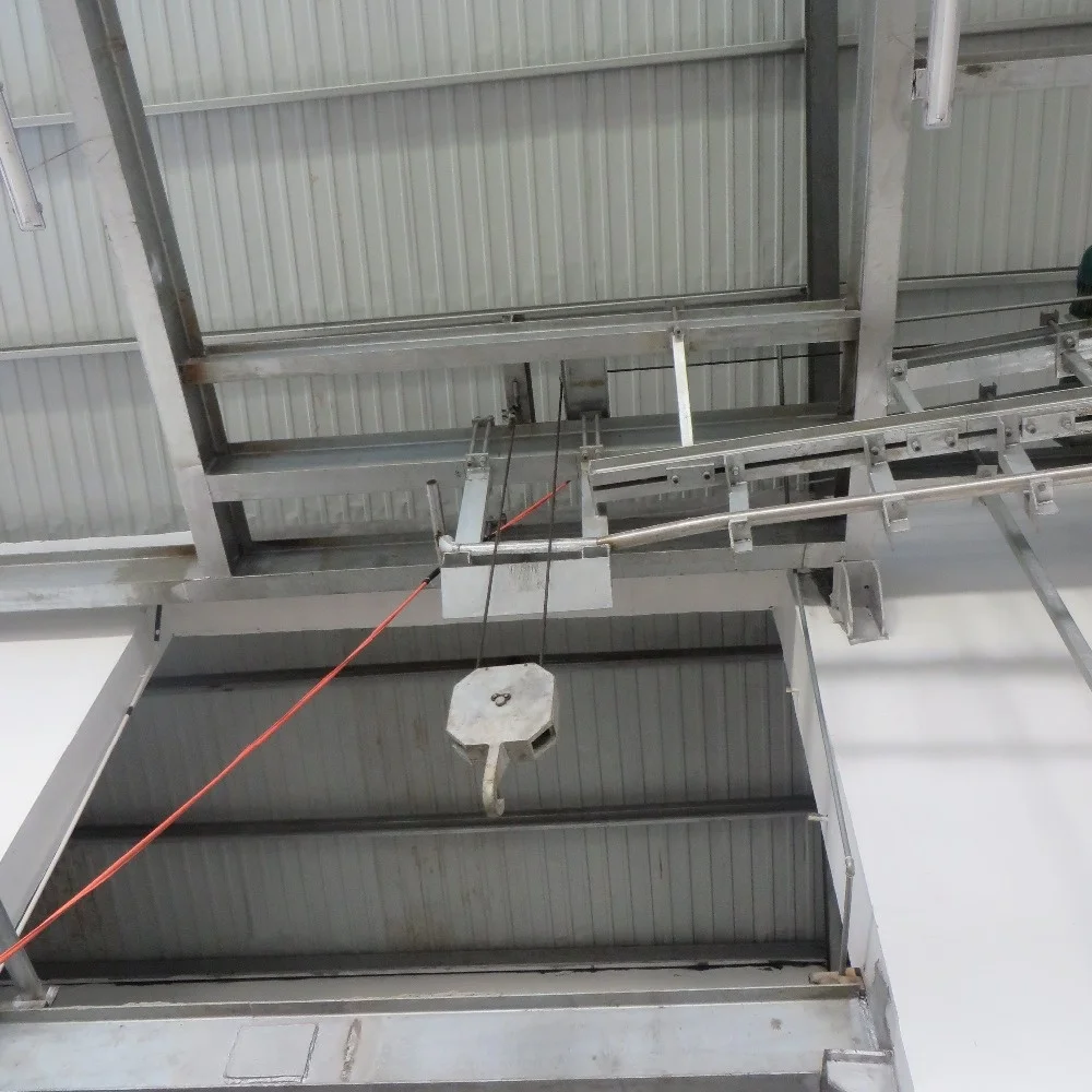 Lifting machine for cattle abattoir plant