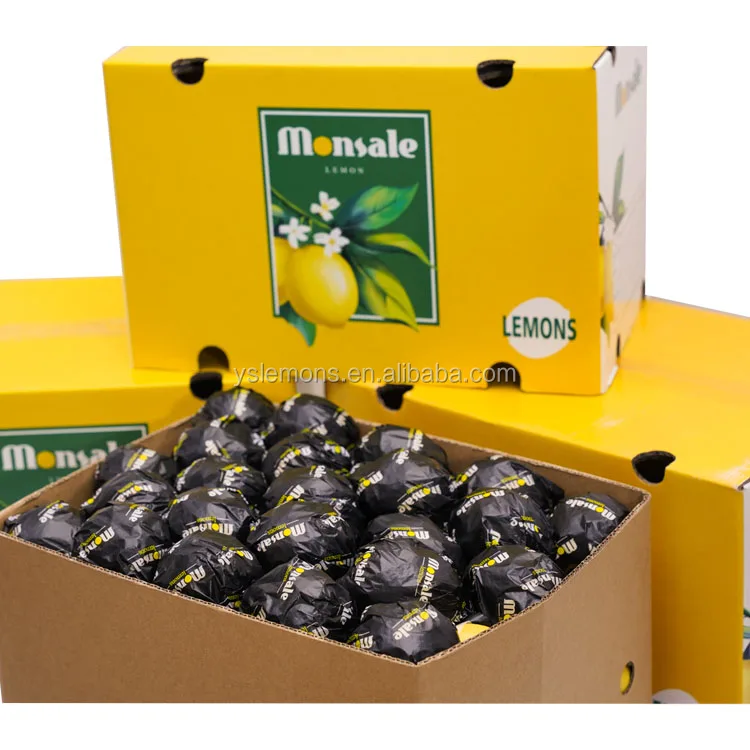 Wholesale Eureka Fresh Organic Lemon Glass Grade B High Quality Citrus Fruits