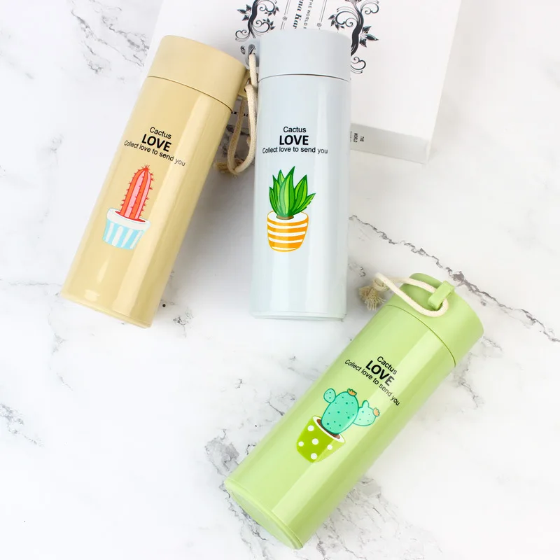 300ml Wheat Straw Double Wall Travel Cactus Glass Water Bottles