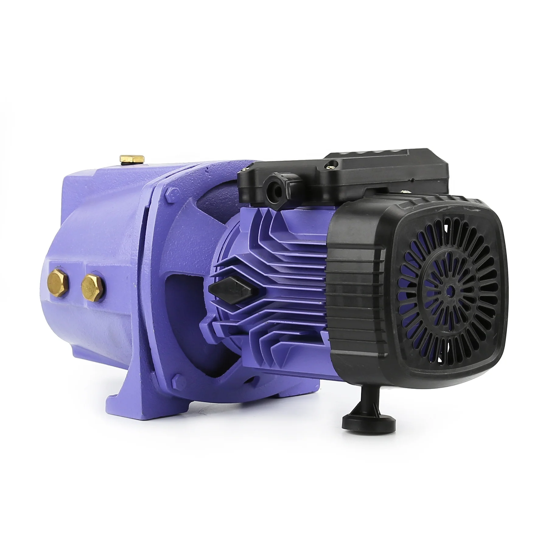 DACHENG 110V 220V JSW irrigation surface jet100 Auto Electric Power Motor 1hp Water Pressure jet Pump