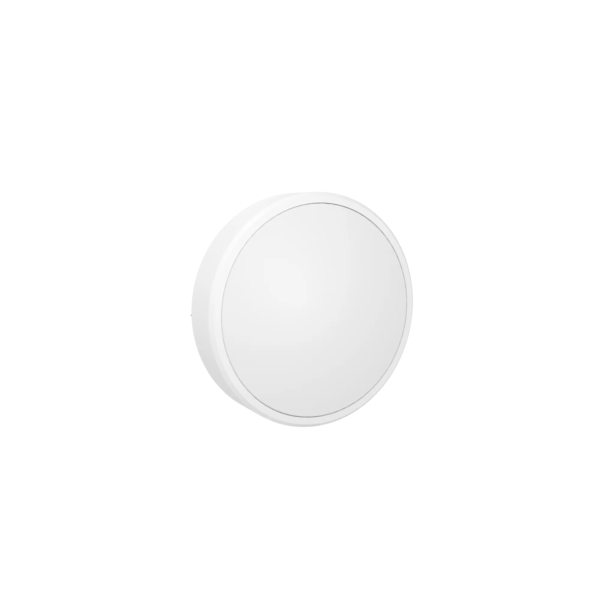 
IP66 light ceiling light bulkhead IK08 outdoor waterproof light 