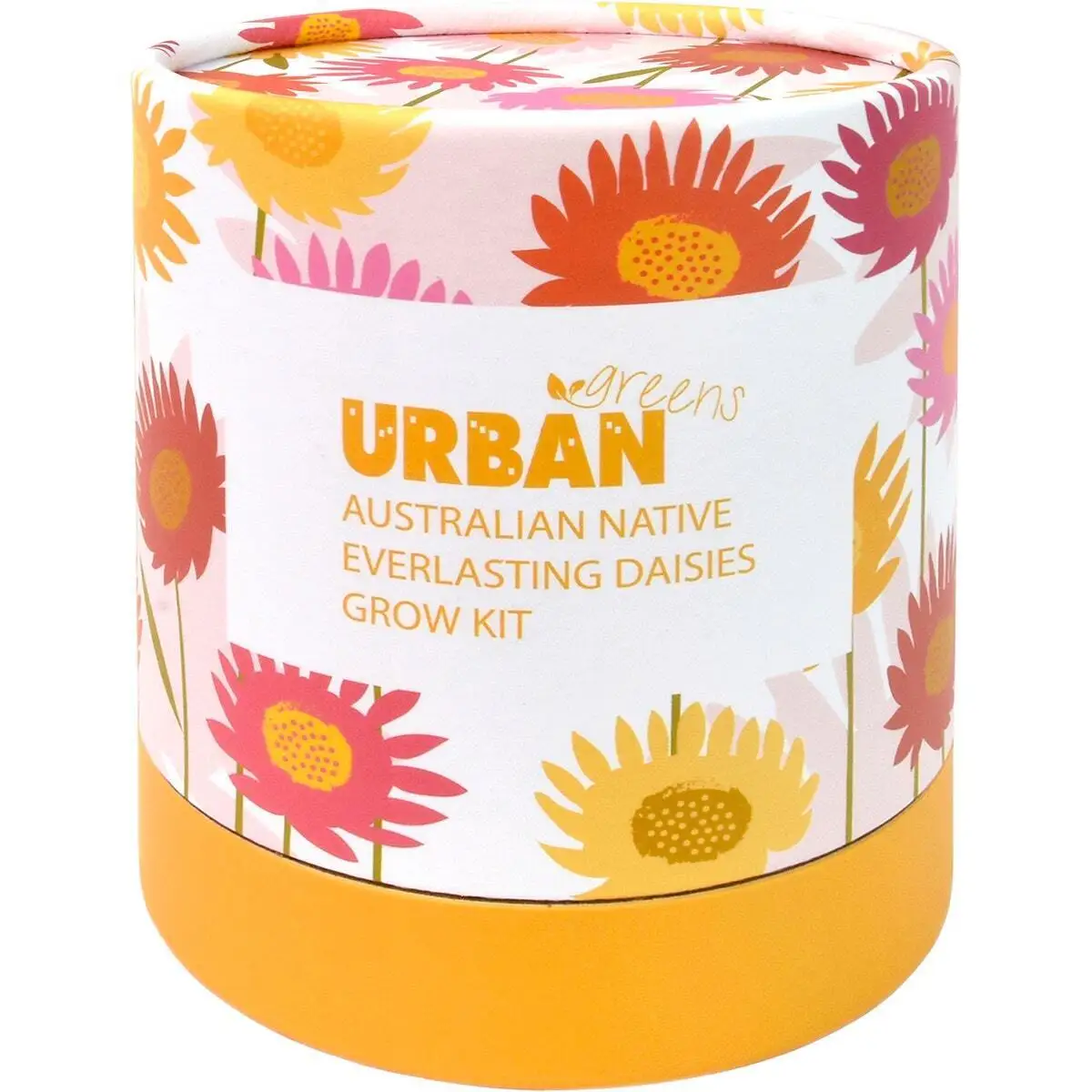URBAN GREENS Australian Native Everlasting Daisies 1 Flower Pot & Planter Grow Kit