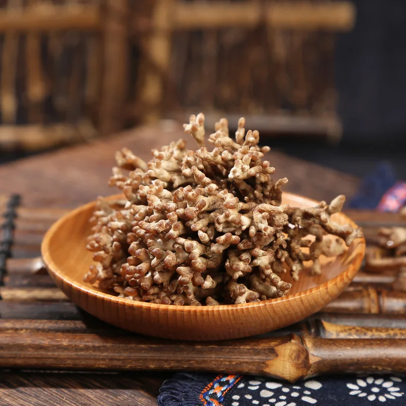 Fresh Healthy Nutritious Food Coral Fungi Mushroom