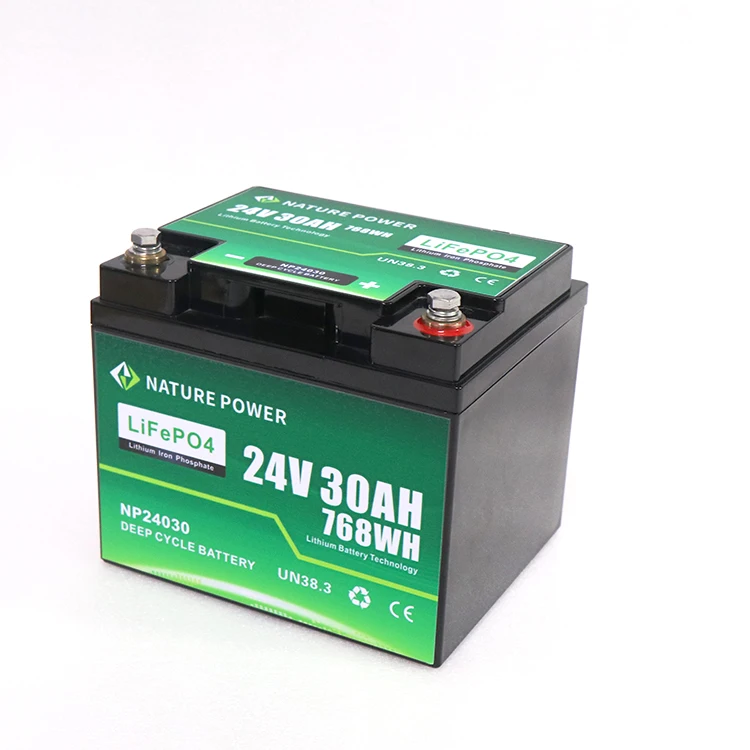 NATURE POWER Deep Cycle Lithium-Ion Battery with BMS 24v 30Ah Car Cranking Battery Lifepo4