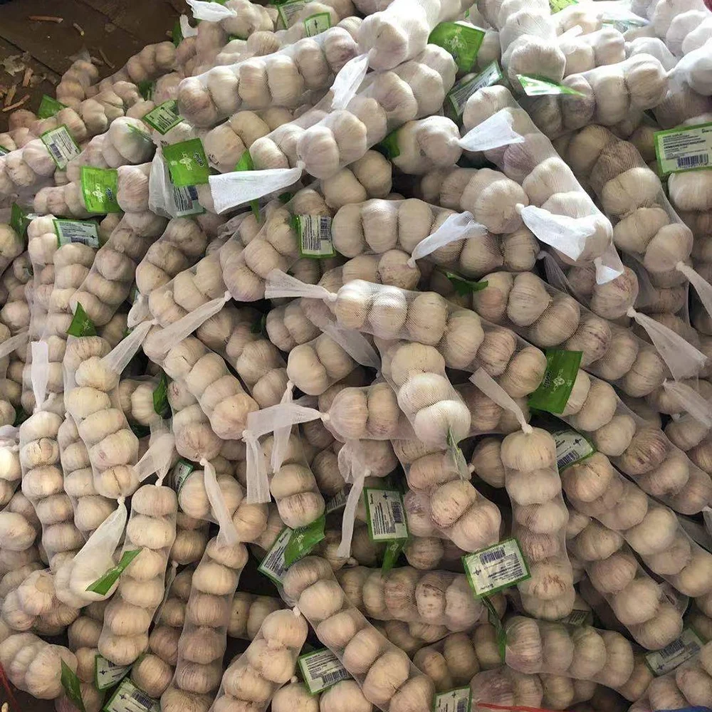 Factory price Chinese fresh pure white garlic