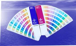 Wholesale Customized Stakerope Printed Silkscreen Neck Lanyard