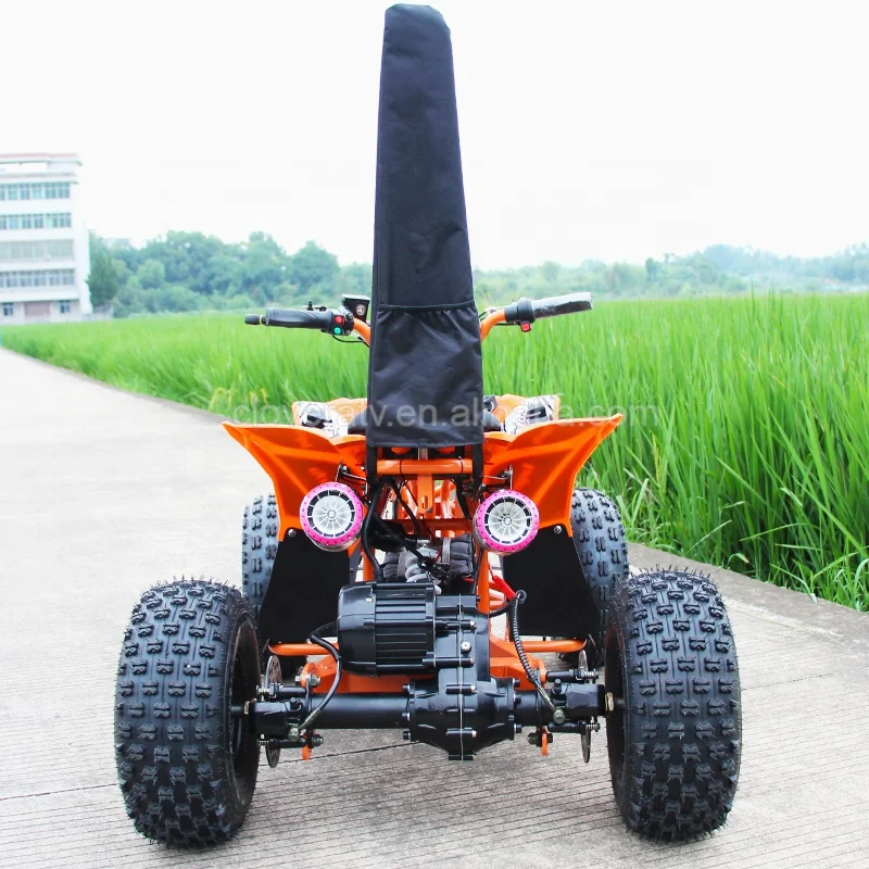 Popular Shaft Drive 36V Electric ATV 48V Quad Bike 1000W ATV for Kids