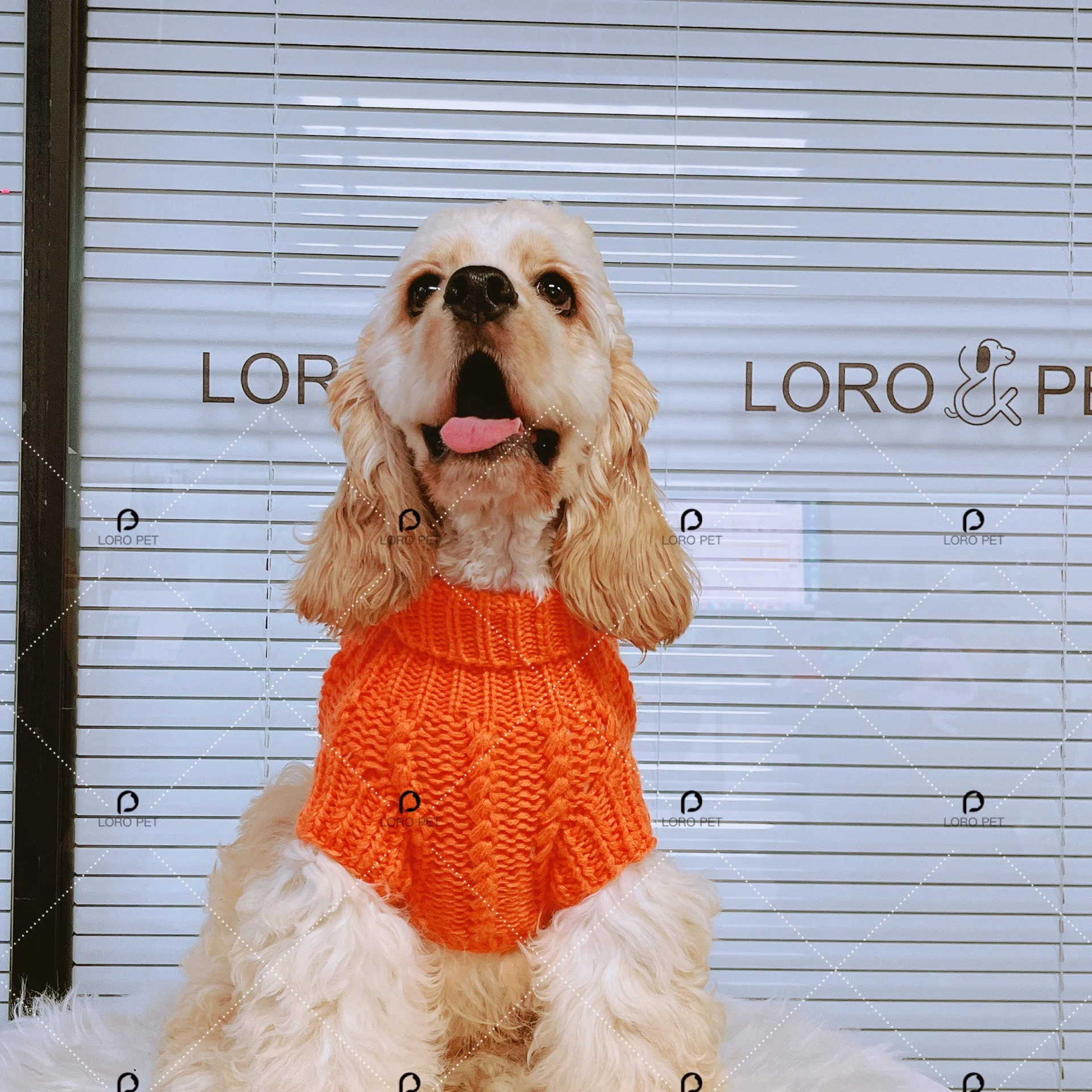 Luxury Solid Color Knitted Dog Jumper Sweater Winter Warm Soft Pet Clothes Knit Sweaters For Dogs