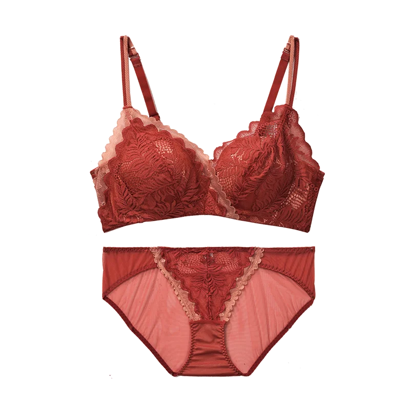 ladies underwear sexy bra and panty new design lingerie women seamless panties lingerie set lace quality lingerie