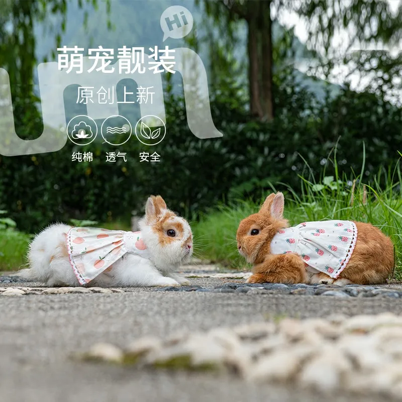 New designer high-quality pet  rabbit series clothes are suitable for rabbit fur cats
