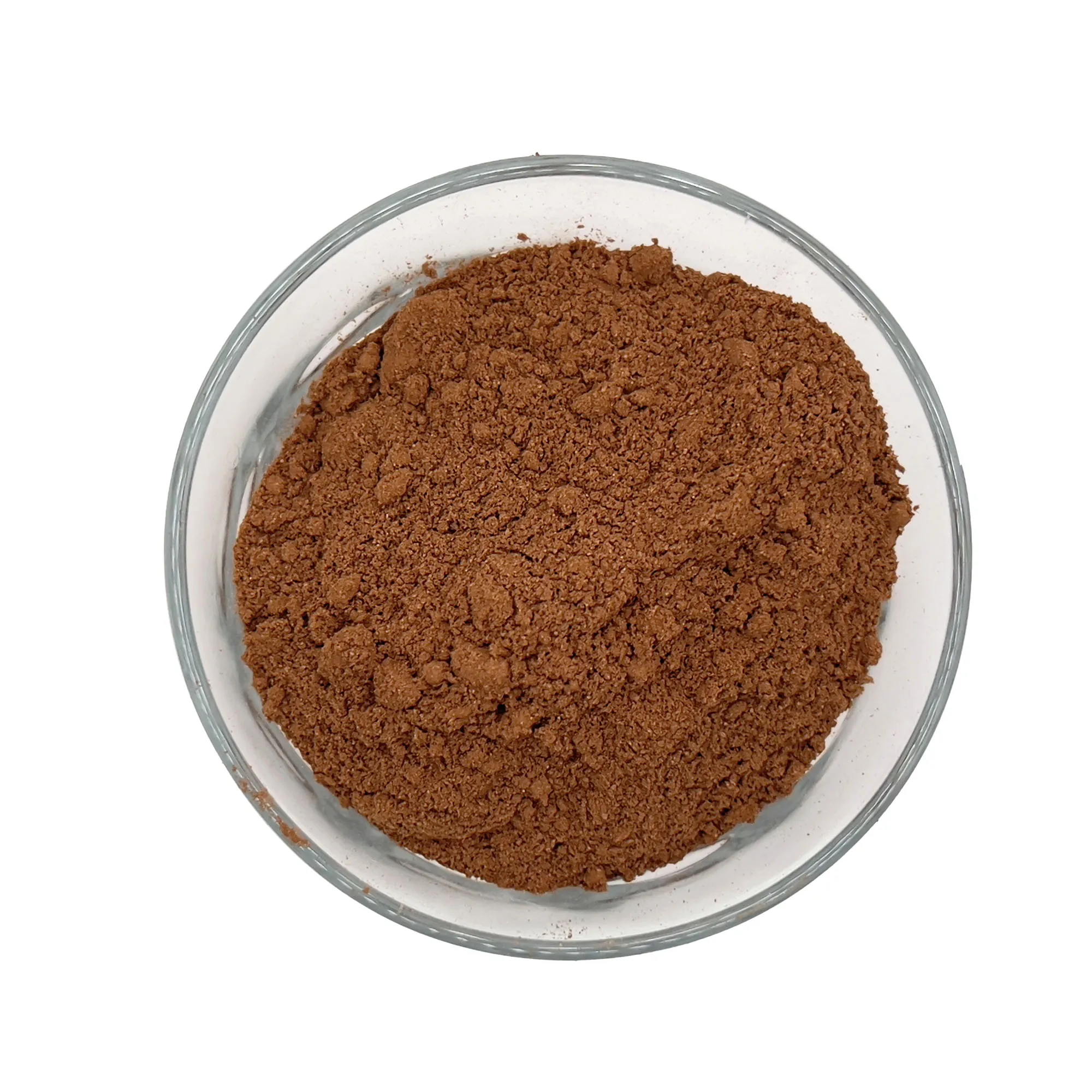 Quick and Delicious Premium Halal Instant Beverage Chocolate Powder Drink Malaysia Manufacturer Supplier Retail / F&B Use