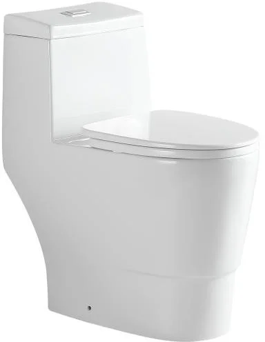 American CUPC Certified Dual-Flush Siphonic One-Piece Toilet Modern Design Style Floor Mounted for Bathroom