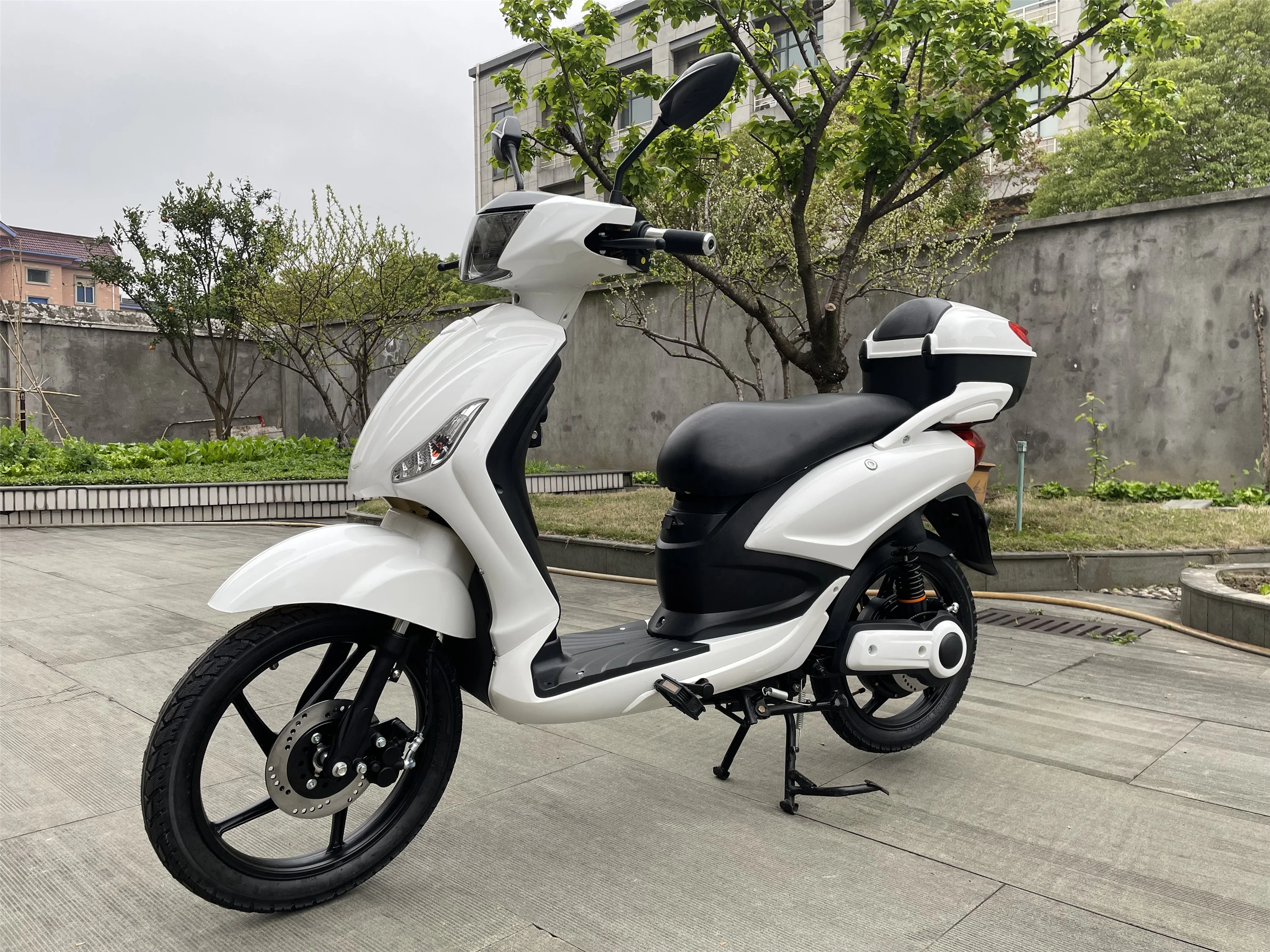CE EEC Certified Light Weight Europe Style Pedal Assist Lead or Lithium Battery E Scooter With Full Colorful Display Bluetooth
