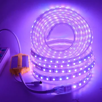 220V AC SMD4040 5050 Light Source 220V High Voltage Constant Current RGB Single Color 50M 100M LED Strip Light Waterproof