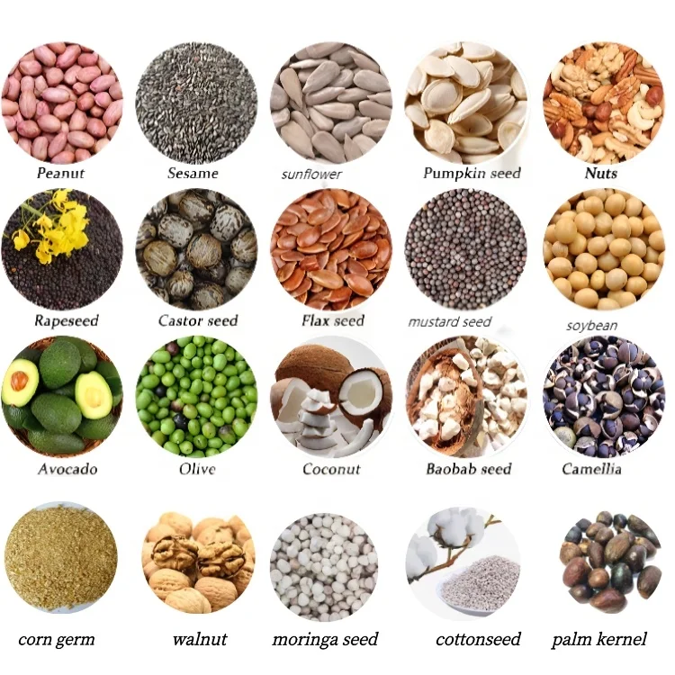 China grape seed  olive oil cold  extractor/ oil press machine for business