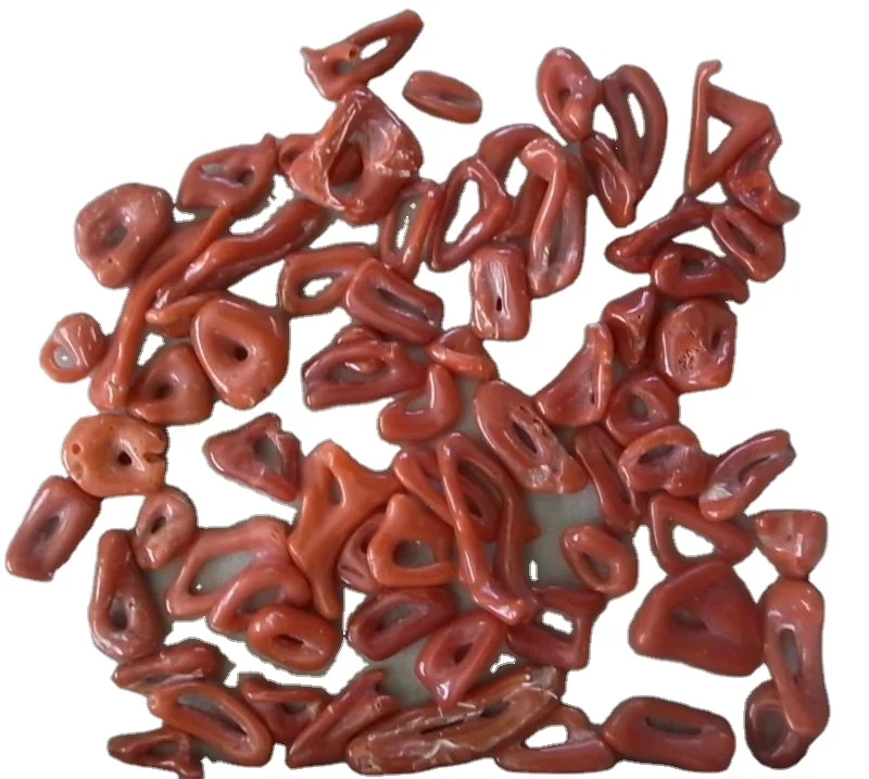 RED ITALIAN CORAL BRANCHES CLOSED LOOPS