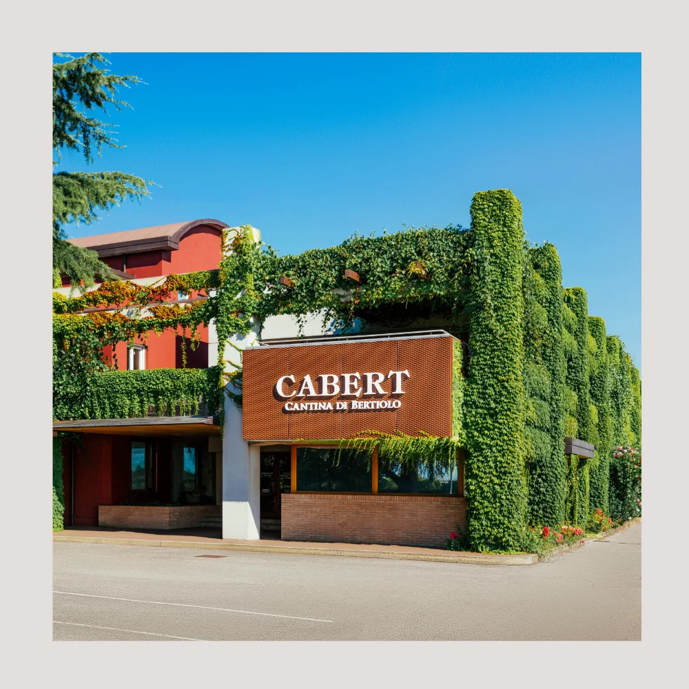 Cabernet французский итальянское красное вино в упаковке 5 литров экологически чистых долговечных простых использовании напитков для использования на открытом