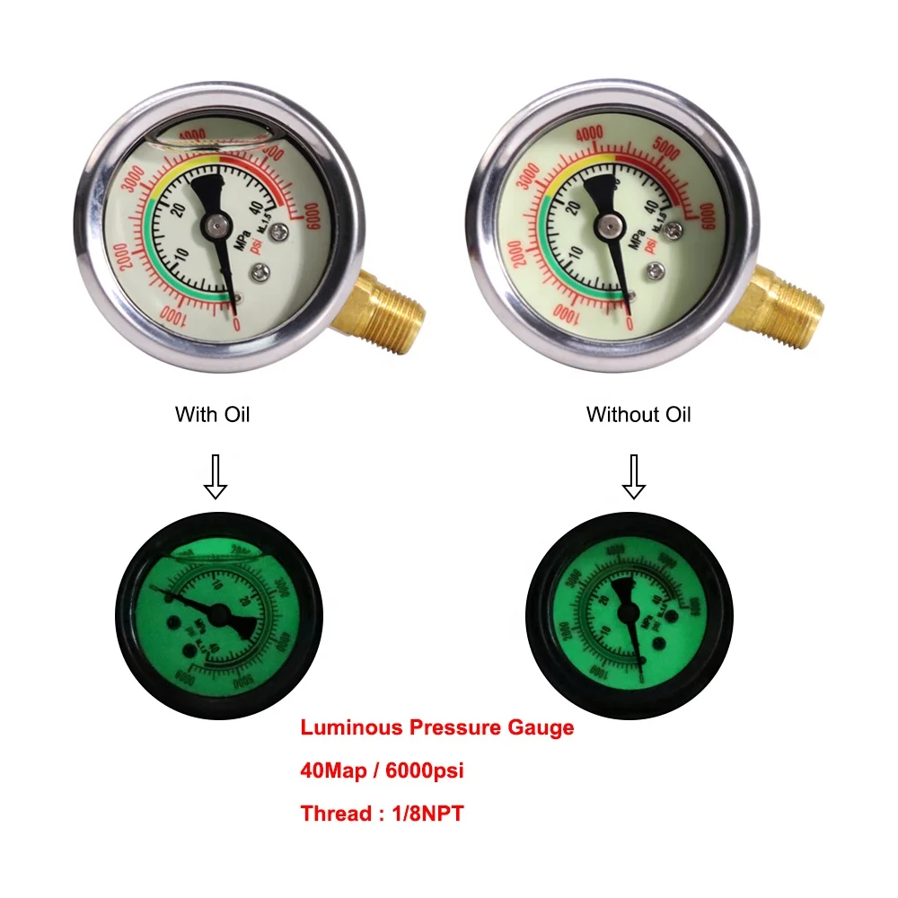 OEM ODM High Quality Durable Side 1/8NPT Thread 40Mpa 6000psi Noctilucent Luminous Pressure Gauge with Oil or without Oil