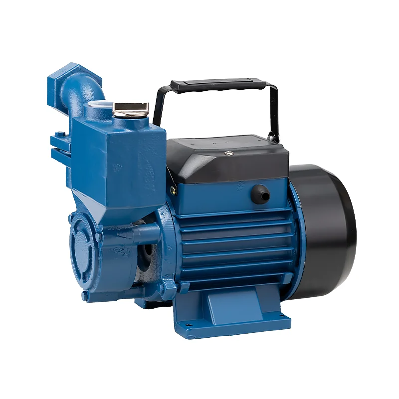 China Brand House Mini Single Phase 0.5Hp 0.75Hp 1Hp Domestic Self Priming Electric Motor Booster Water Pumps