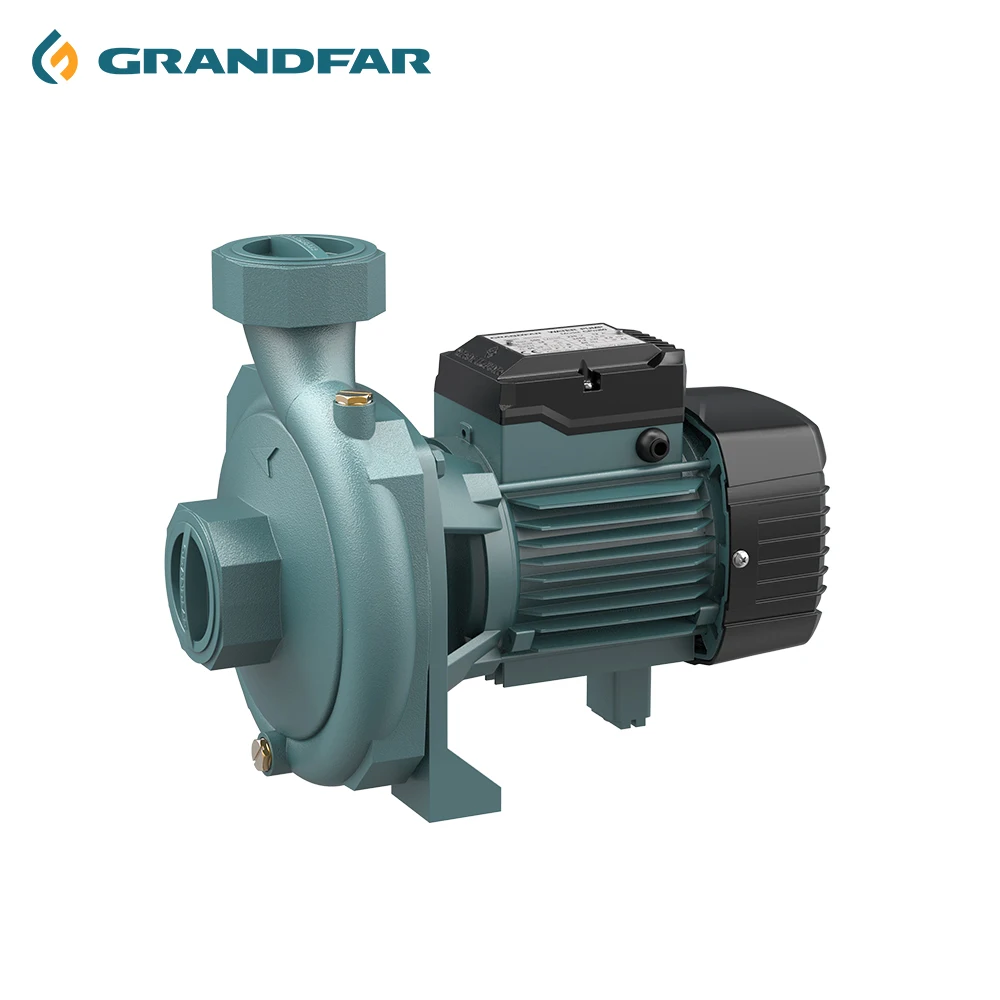 GRANDFAR 1.5HP 1.1KW High Temperature Circulating Pump Hot Water Small Water Pump For Home Use