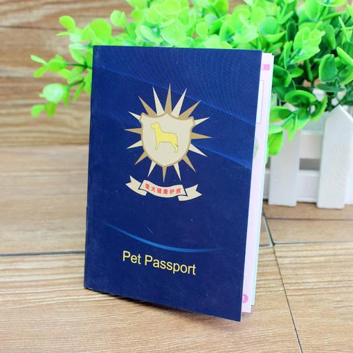 Customized  International  printed passport for children