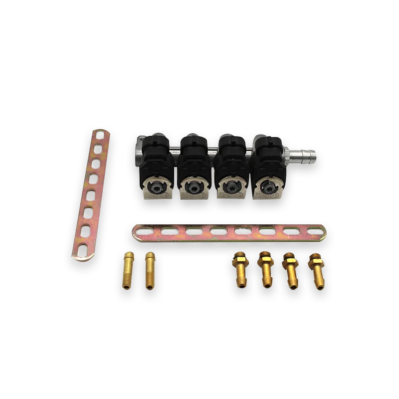 2-Ohm IG1 Type  4-Cylinder CNG Rail Injector for Autogas Conversion Kits