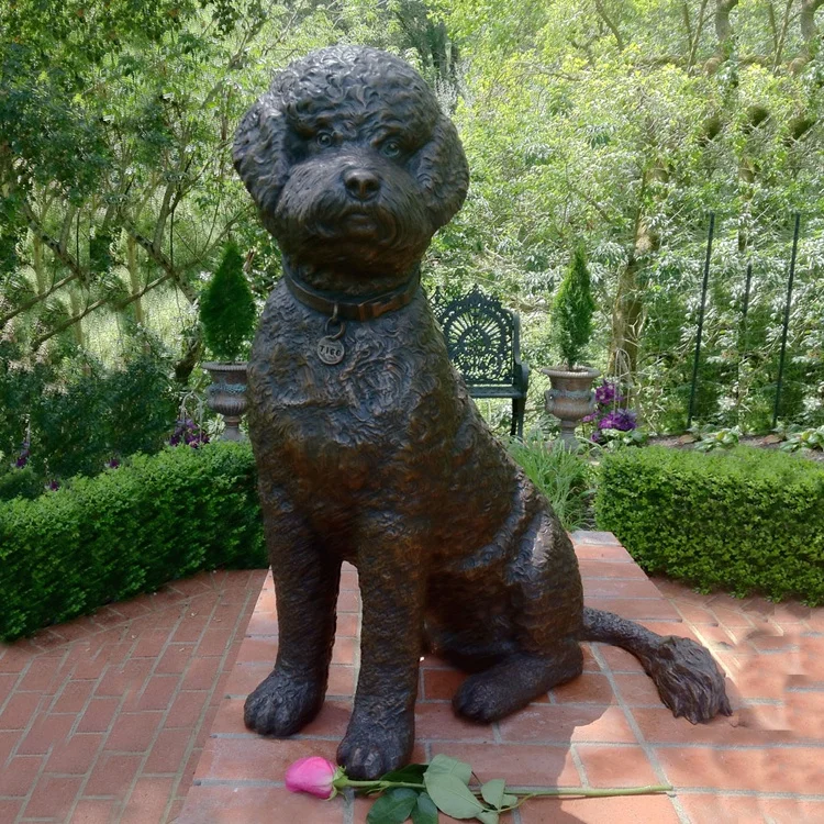 Outdoor Garden or Home Decorative Life Size Bronze Toy Poodle Sculpture Teddy Dog