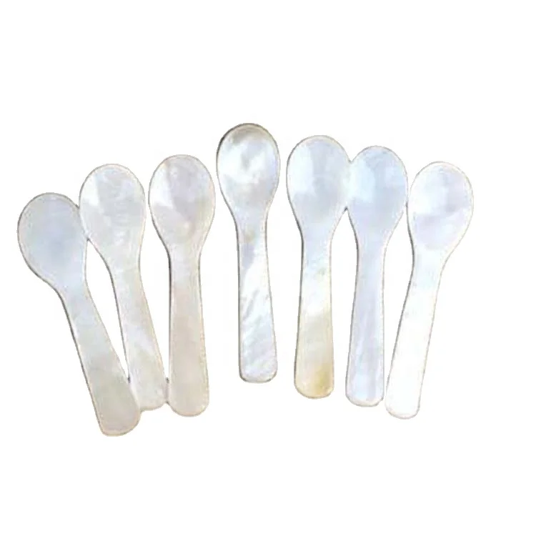 7cm Random Color Natural Shell Ice Cream Coffee  Caviar Pearl Shell Mixing Spoon Tea Spoon Kitc