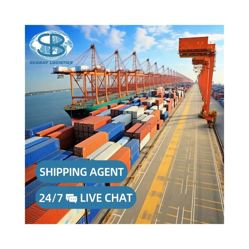 US Customers Sea Freight Forwarder Logistics Shipping Agent from China DDP Service with LCL+Trucking for Cheap Shipping