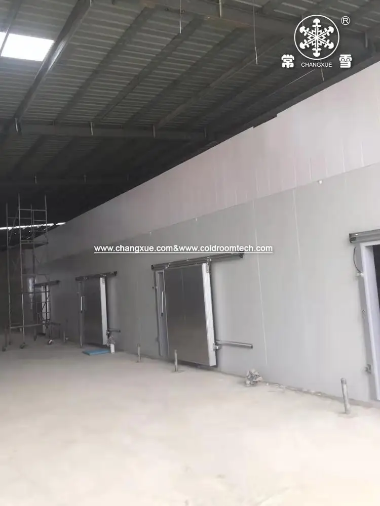 Automatic sliding cold storage door for cold room