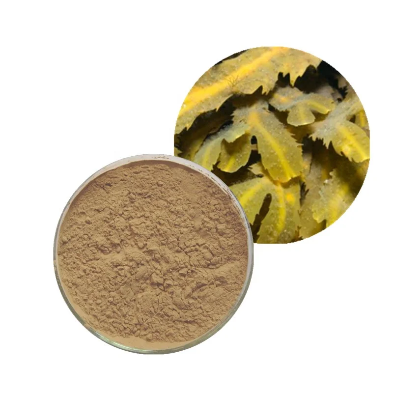 High quality immunity boost fucoidan extract 85% fucoidan