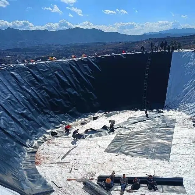 Impermeable visqueen urban drainage hdpe ponds geomembrane 0.1~3.0mm