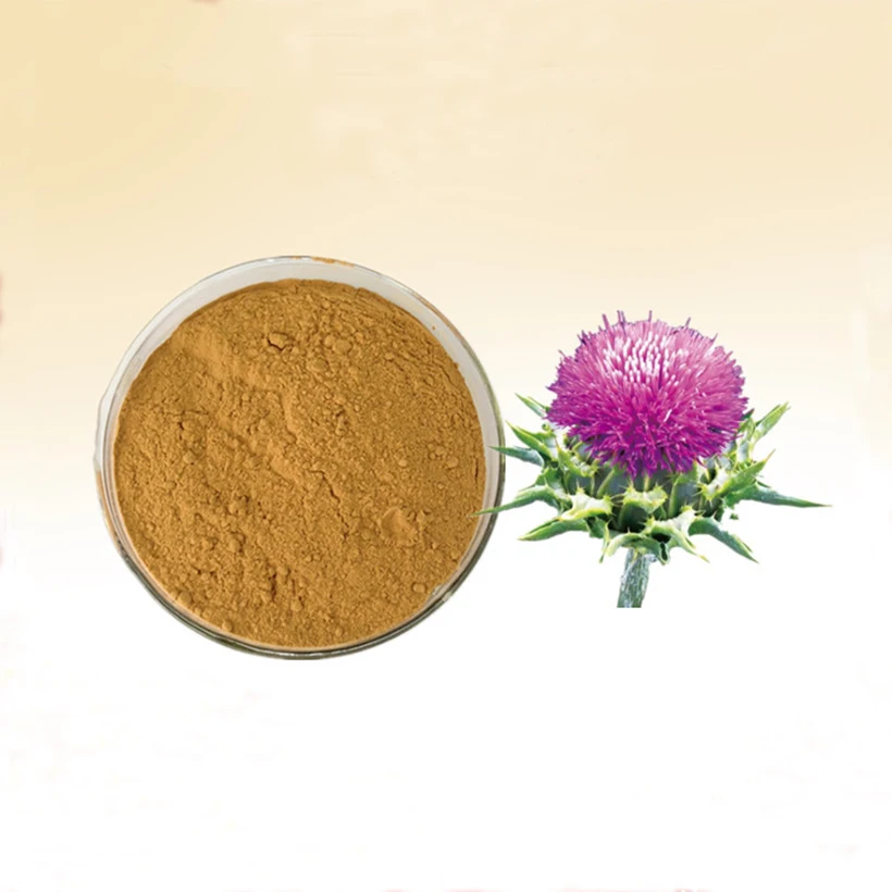 Silymarin 40%80% Silymarin Powder Milk Thistle Extract 98% bulk silymarin powder