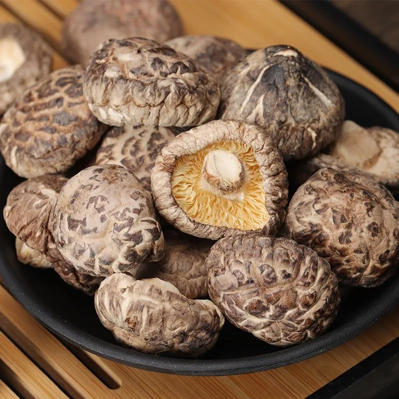 Processing Wholesales Competitive Price Type Origin Dry Mushroom