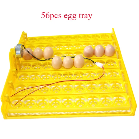 70 шт новейшая модель яичный лоток для перепелиных яиц Многофункциональный лотков для яиц