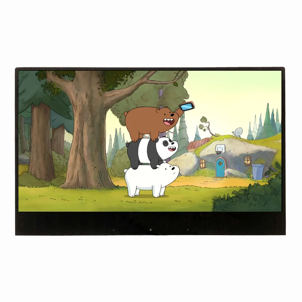 
11.6 inch lcd display lcd screen lcd module panel TFT 1920*1080 FHD IPS 40PIN Dual LVDS interface for laptop for tablet 