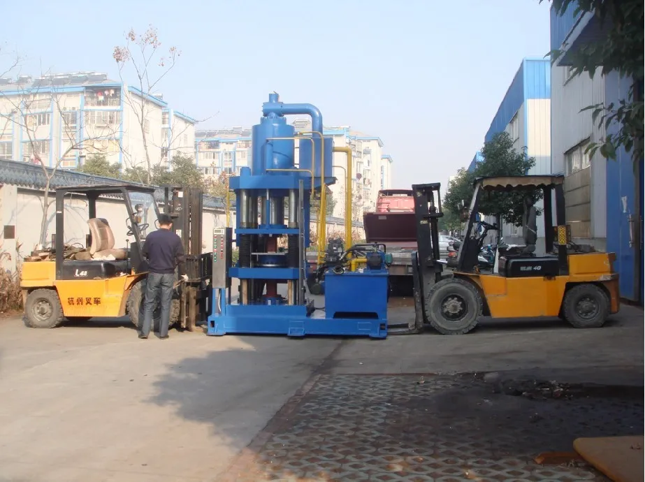 200ton 300ton 500ton 1000ton Hydraulic animal mineral salt licking block press machine