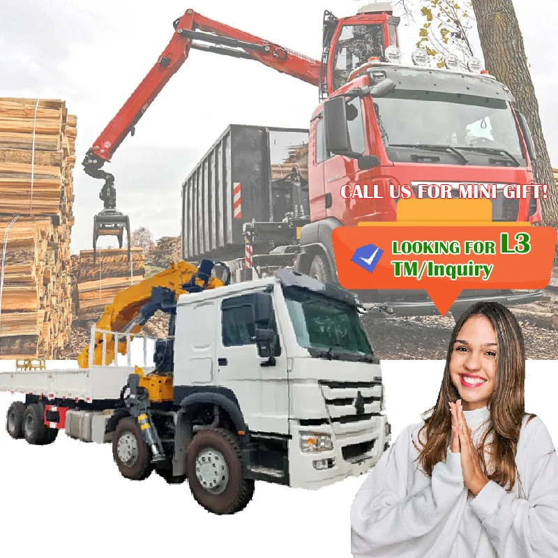 IN PROMOTION!! 14Ton Hydraulic small crane for warehouse Construction Lifting Height 25m arm boom crane truck Camion guindaste