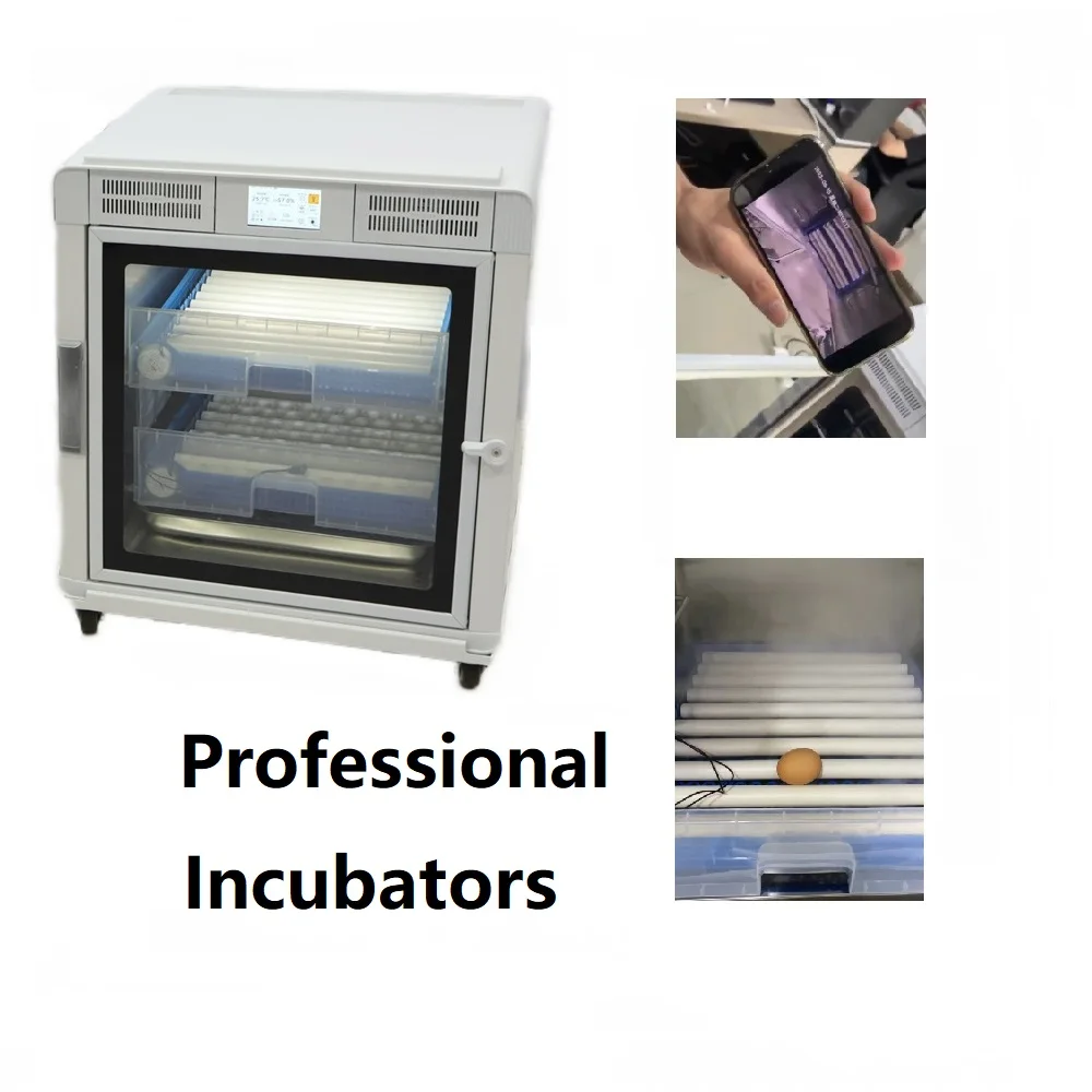 Bird Brooder Best Price for Eggs Hatch Intelligent Multi-Purpose Incubation Equipment Parrot Incubator for Sale