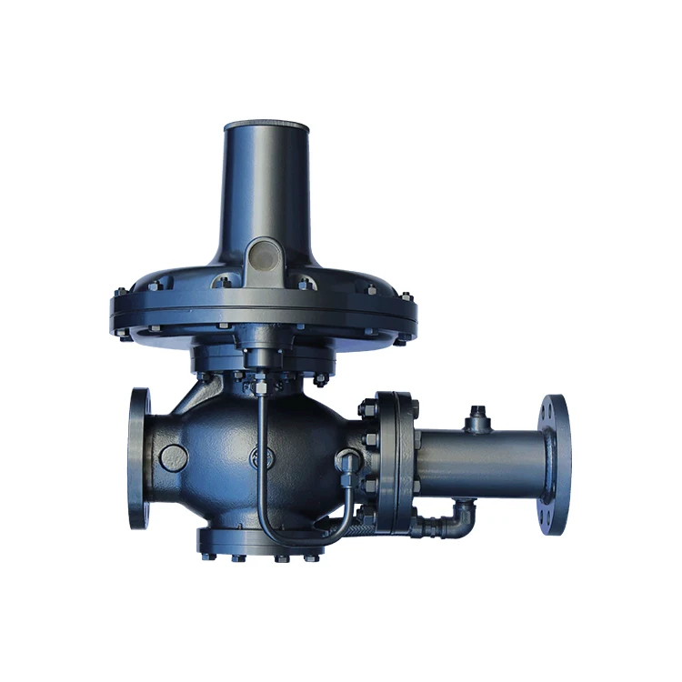 Japanese Industrial Furnace Rego Lv Lpg Gas Pressure Regulator