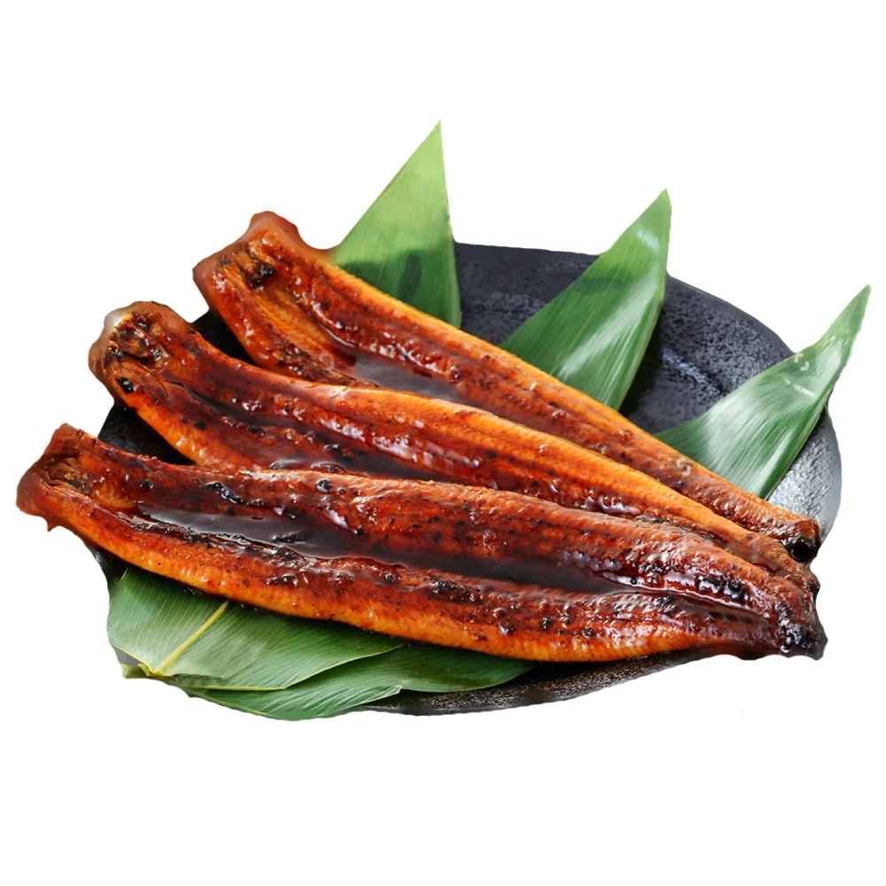 OEM Customize Wholesale High Quality Sushi Frozen Conger Unagi Kabayaki Fillets Japanese BBQ Broiled River Roasted EEL