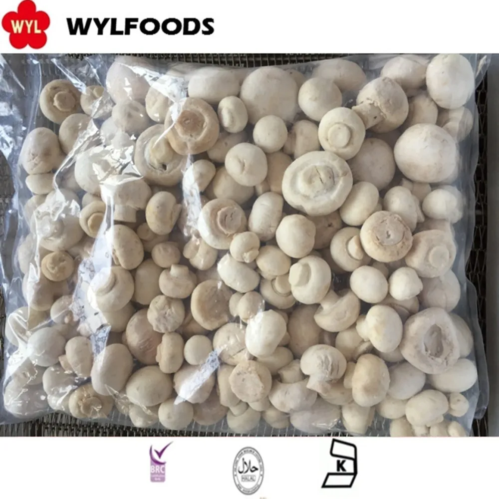 Shelf-Stable frozen Champignons cultivated mushrooms price
