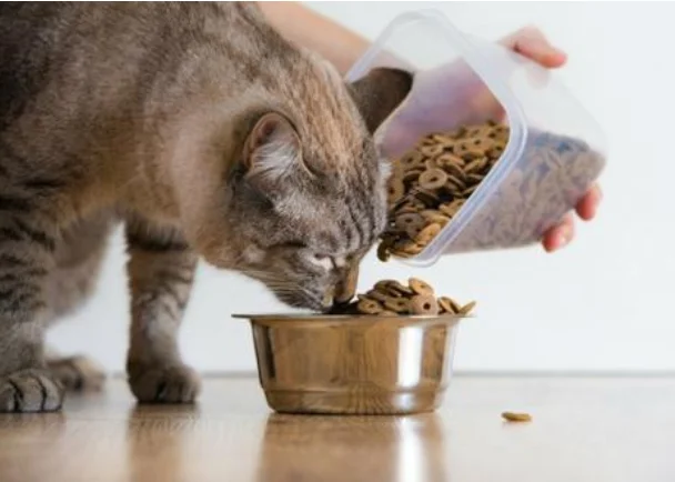 Manufacturer Supply  Complete balance Cat Food