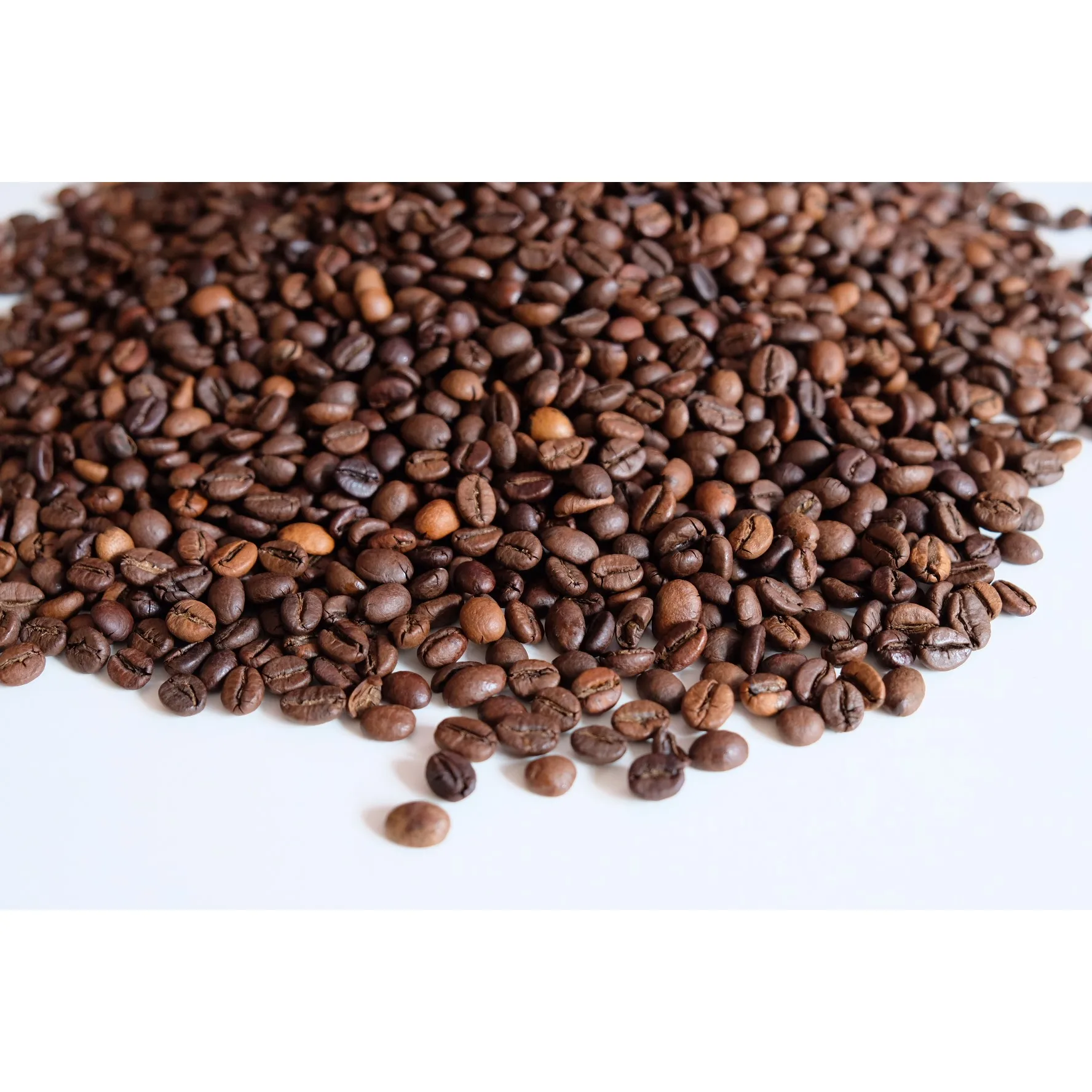 Vietnam Product Robusta S18 Roasted Carpentry Coffee Beans  Roasted Cafe  Robusta Roasted