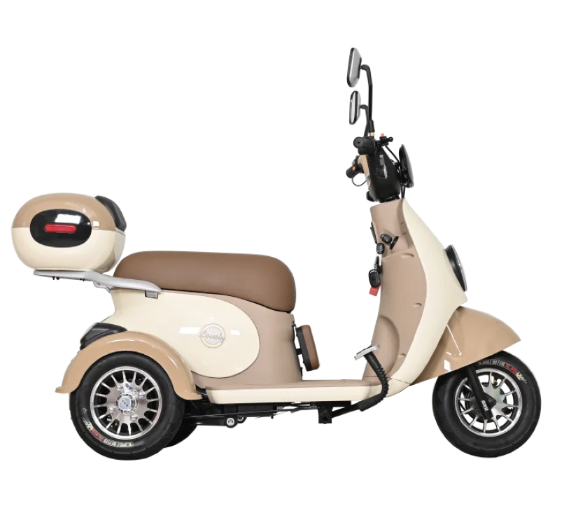 Small City Passenger E-scooter New Style Leisure Tricycle Family with Baby Seat Tricycle Good Quality Electric Tricycle