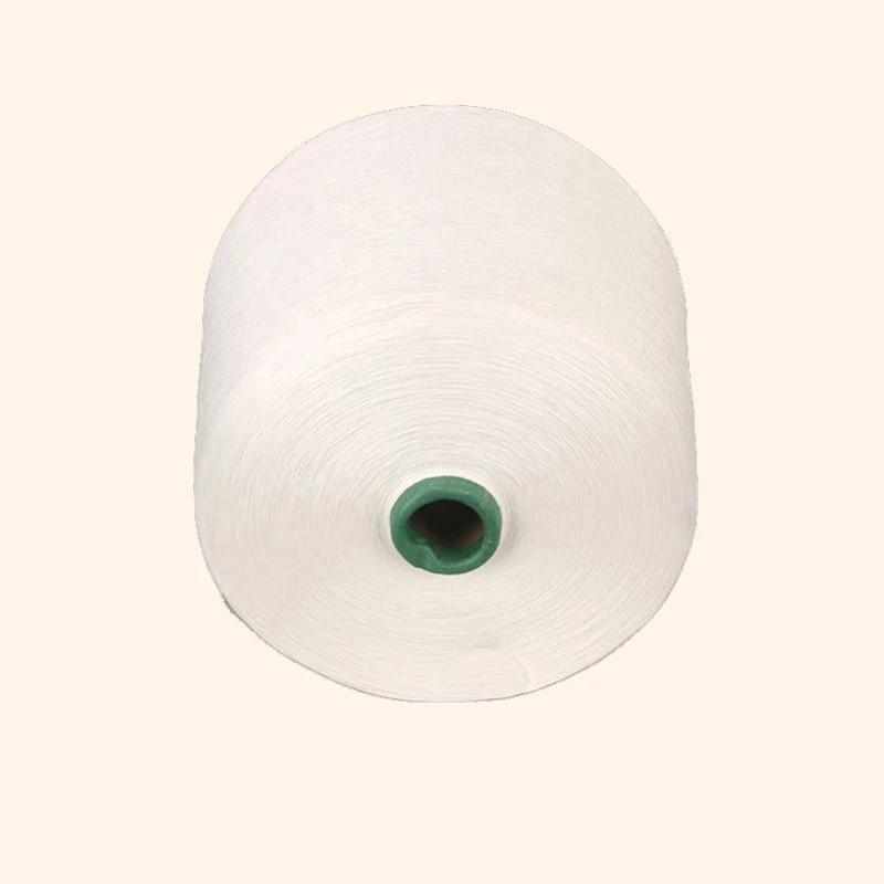 China 100% Polyester Weaving Spun Yarn For Southeast Asia