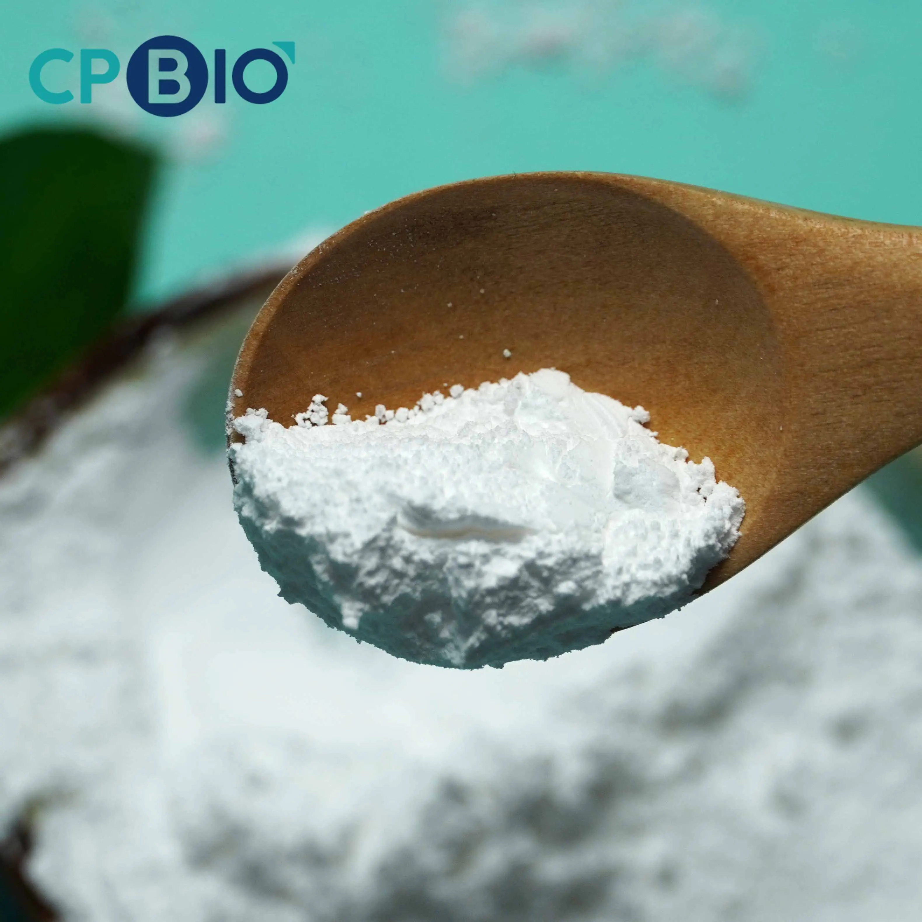 Hot Sale Food and Pharma Grade Edible Gelatin Powder CAS9000-70-8 Gelatin