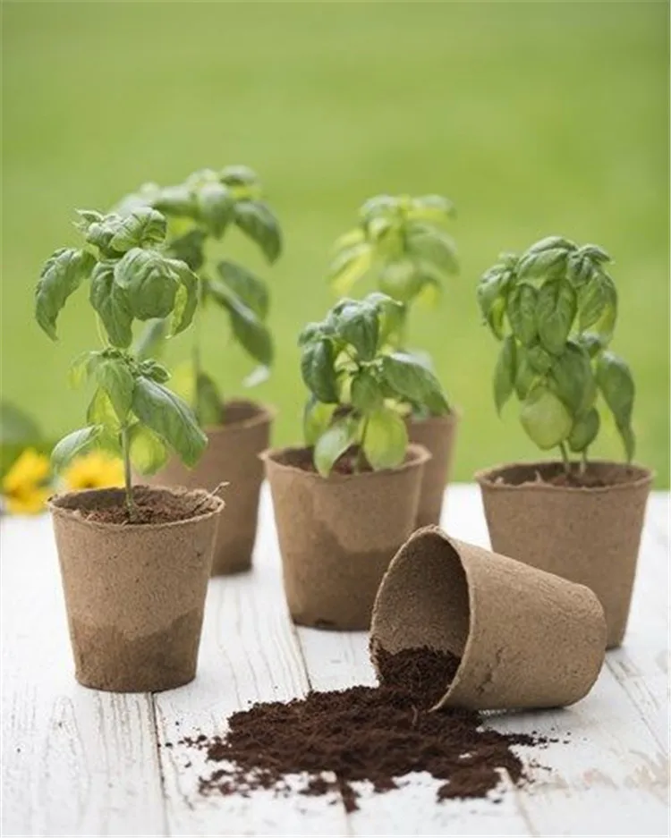 
Eco friendly brown color round shape recycled paper pulp plant peat pot 