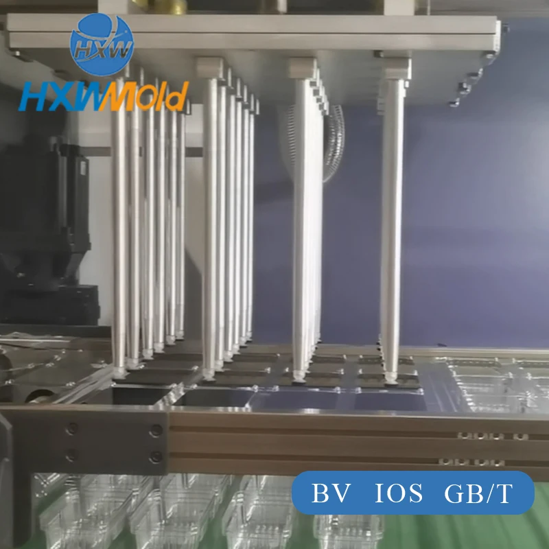 Вакуумная формовочная пластмасса изготовленный на заказ лоток для термоформования ABS