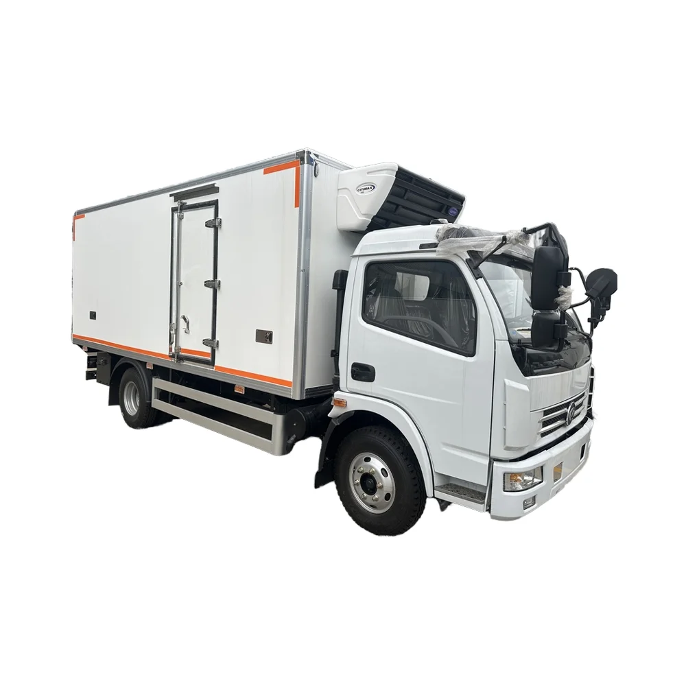 5Ton HOWO Diesel Refrigerated Truck New Condition Manual Transmission Euro 2 Emission Standard Available in Left Right Drive